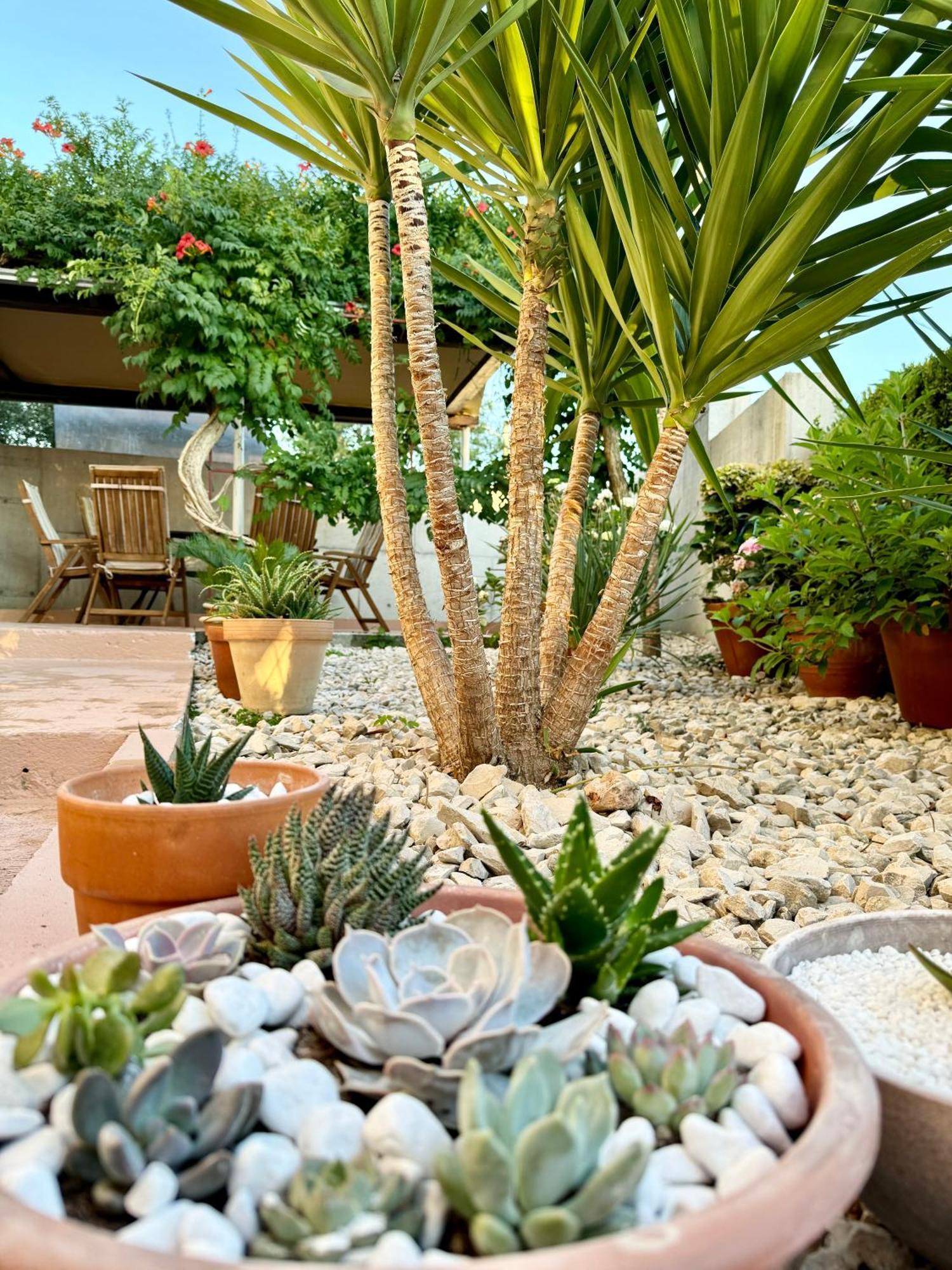 Apartma Lux